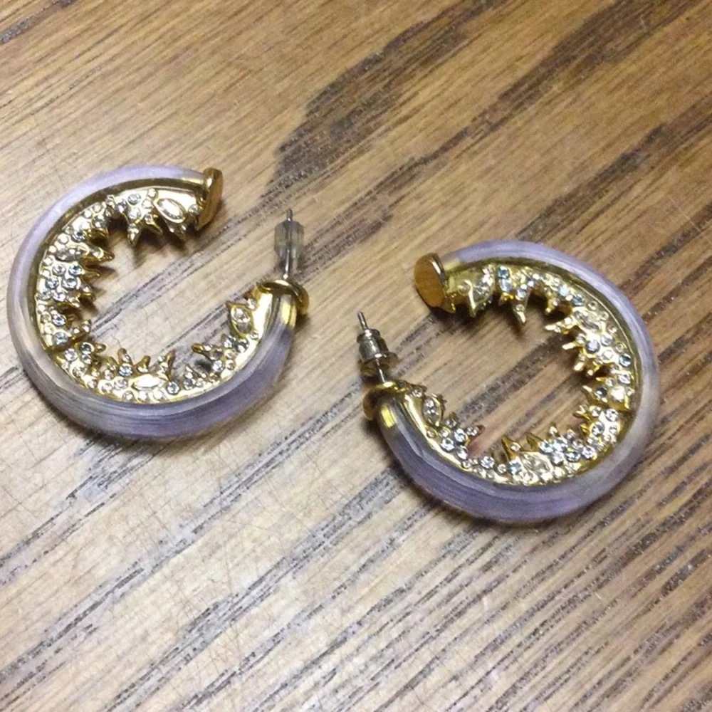 Alexis Bittar Lucite And Rhinestone Hoop Earrings - Picture 3 of 7